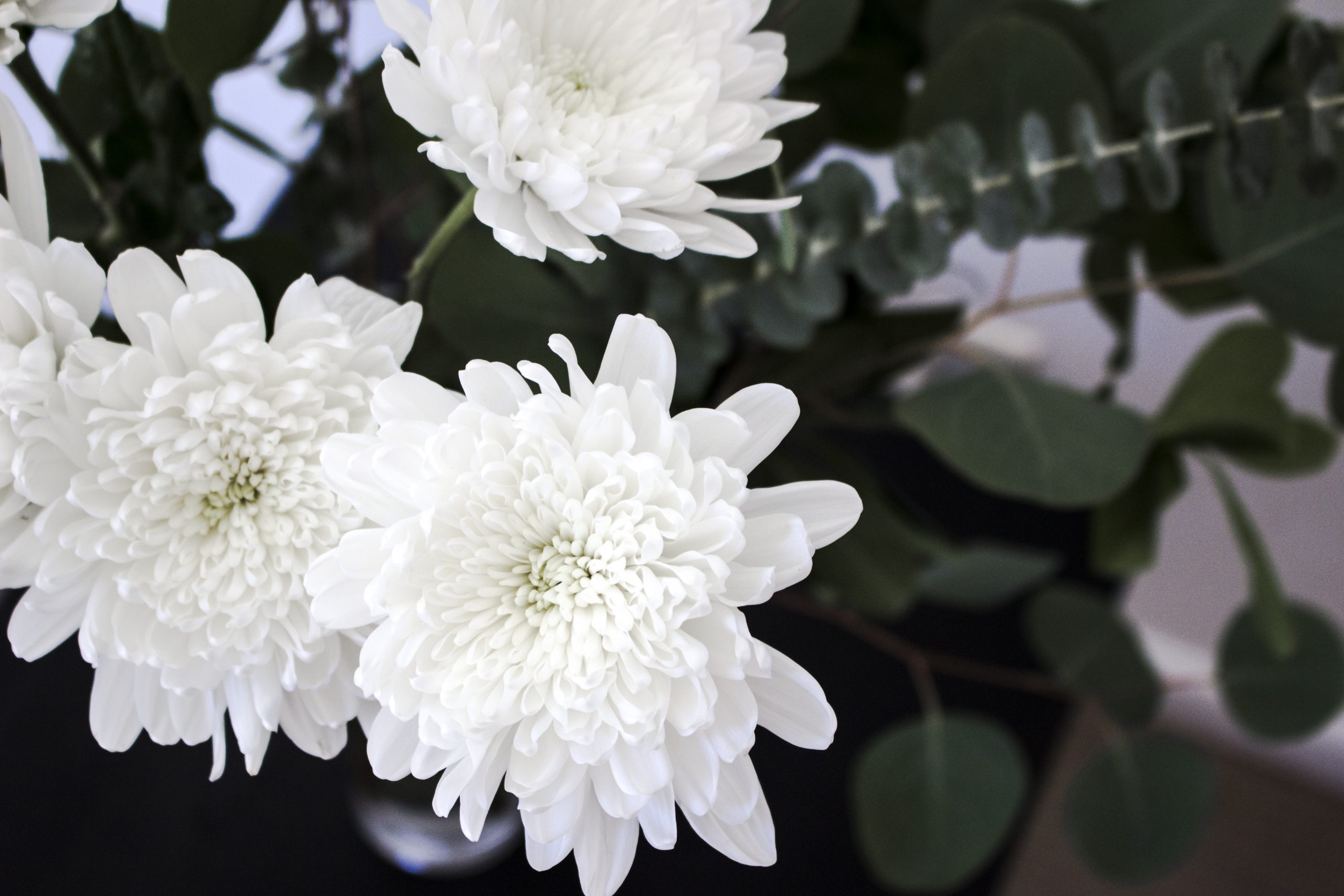 Six Truths to Remember in the Midst of Chaos