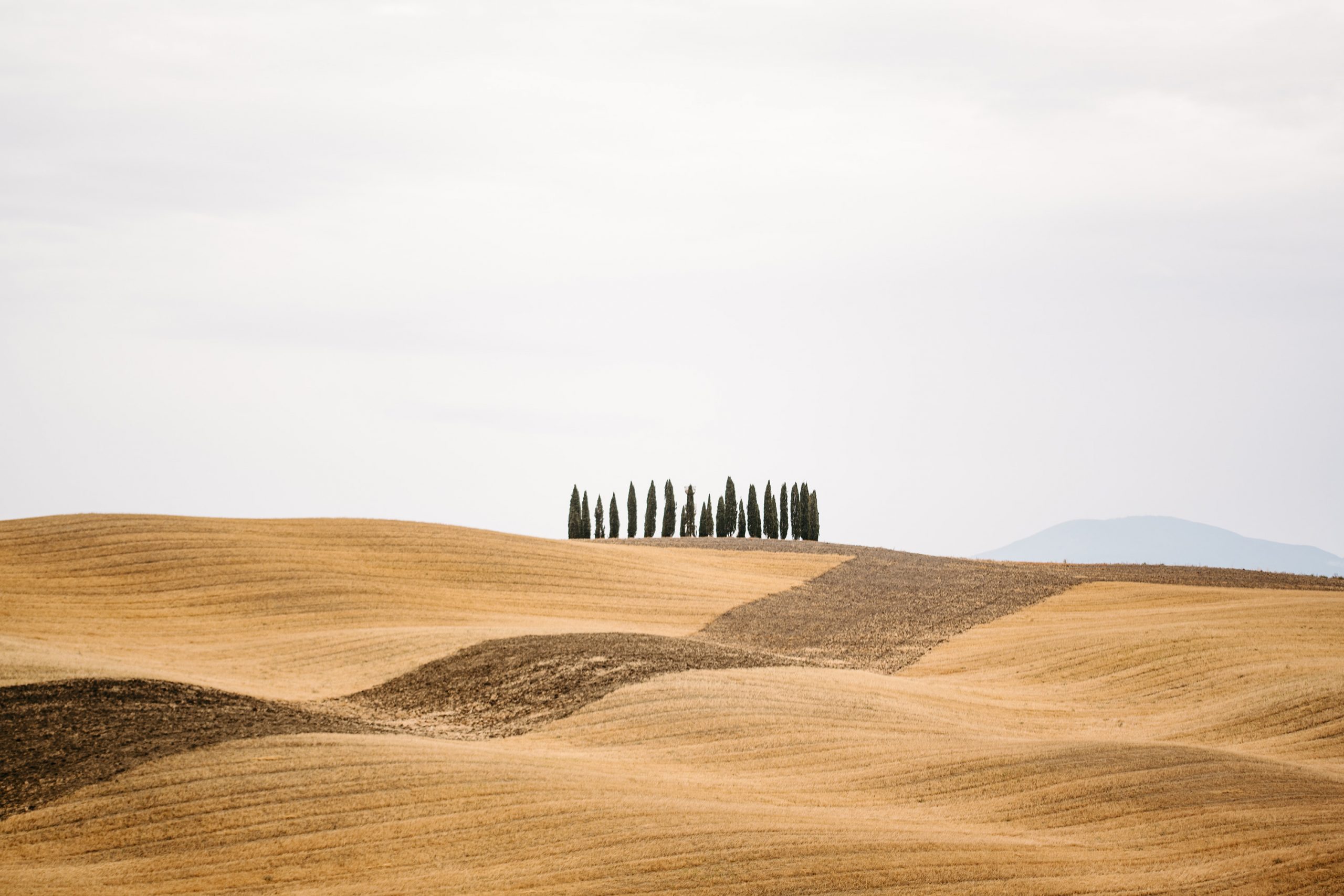 Prophetic: Sowing Your Precious Seed