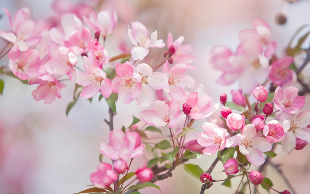 I Discovered This Surprising Truth About Anxiety