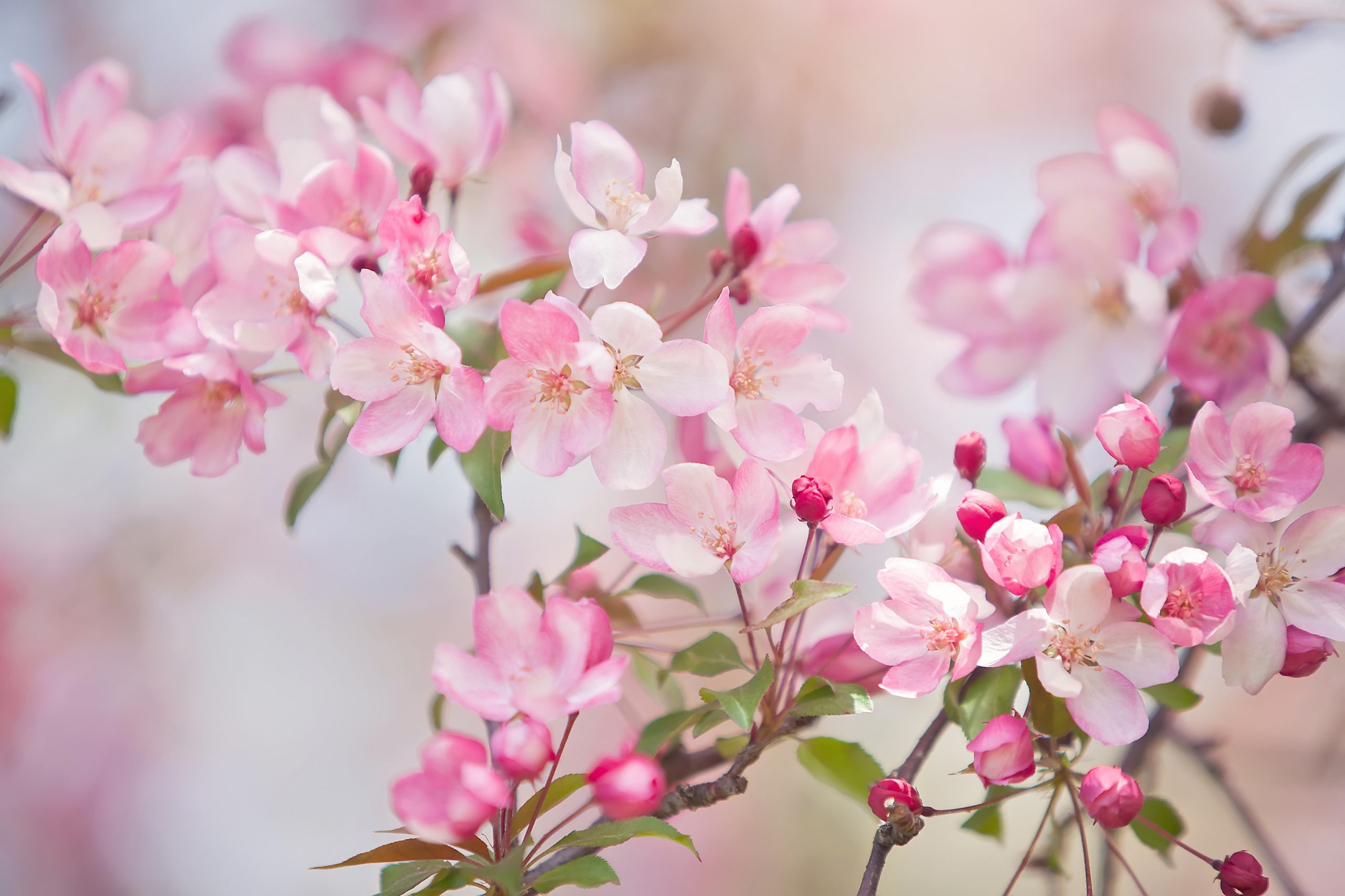 I Discovered This Surprising Truth About Anxiety